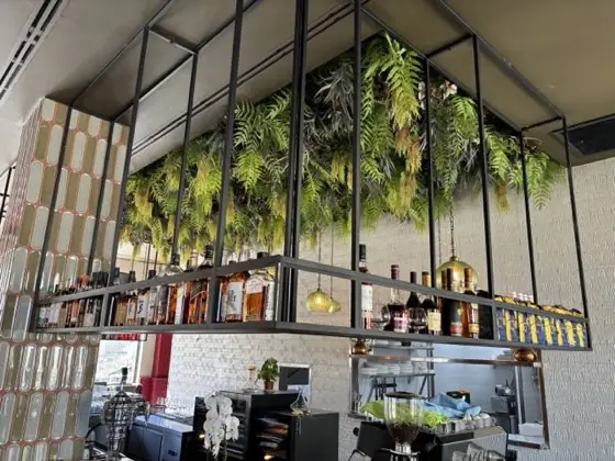 Tapa Bar — בר טאפאס, חיפה